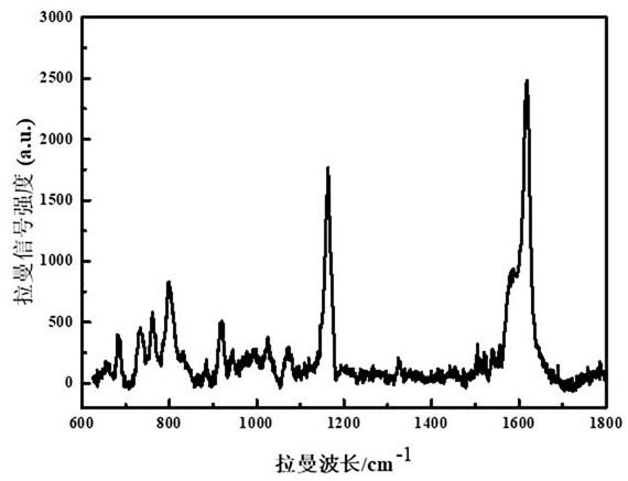 一种基于SERS增强的基底检测不同类型新冠病毒的方法与流程