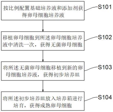 一种高质量培养卵母细胞的体外培养方法与流程