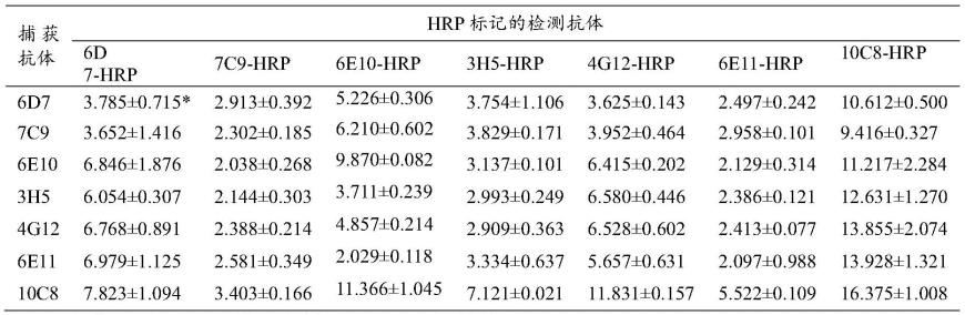 杂交瘤细胞、洋葱黄矮病毒抗体及其应用、ELISA检测试剂盒和ELISA检测方法