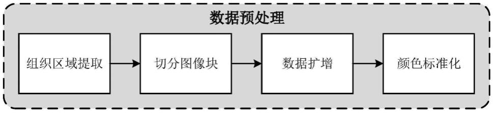 一种肝细胞癌病理图像分割系统