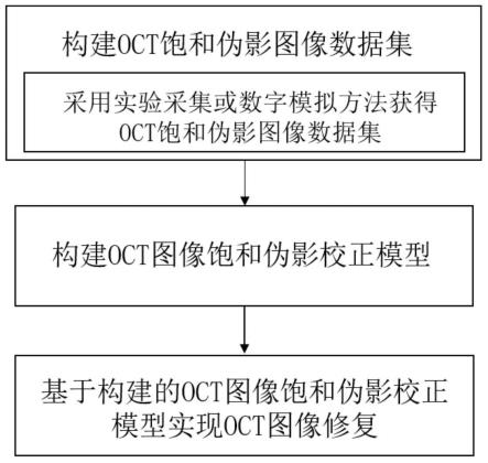 一种光学相干层析图像饱和伪影的图像修复方法