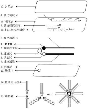 一种汗液微流控贴片及其可视化模型和制备方法