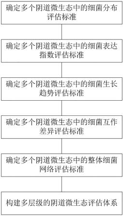 一种多层级的阴道微生态评估体系构建方法和装置