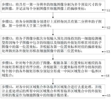 一种高分辨率细胞图像的细胞计数方法及系统与流程