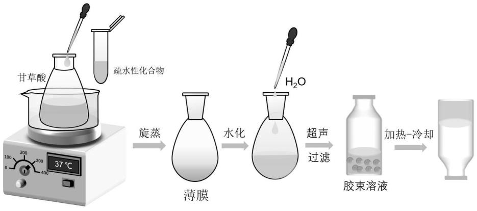 一种甘草酸胶束水凝胶递送系统及其制备方法和应用