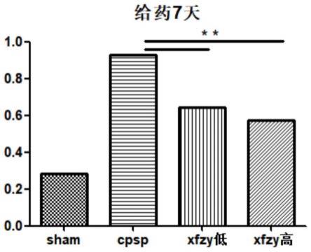 血府逐瘀制剂在制备防治卒中后痛觉异常的药物中的应用的制作方法