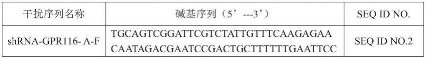 嵌合抗原受体NK细胞及其制备方法和细胞药物及其应用