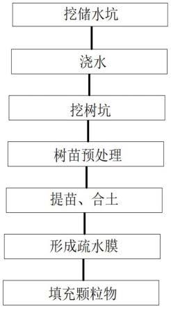 一种干旱地区的植树构造的制作方法