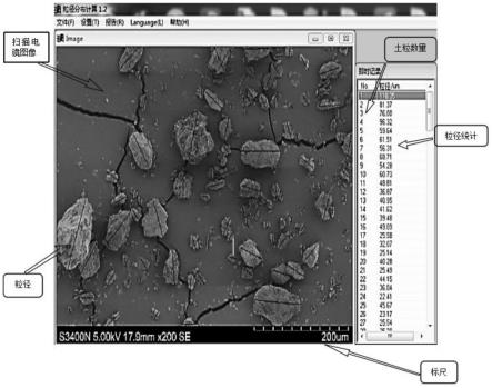 一种基于扫描电镜定量比较农学试验处理间土壤团聚体特征的方法