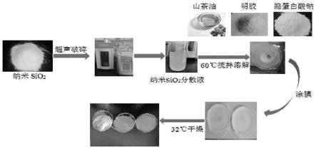 纳米SiO2改性明胶壁材乳化膜及其制备方法和应用