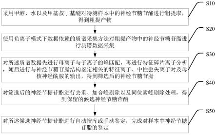 一种神经节糖苷脂的鉴定方法及其应用