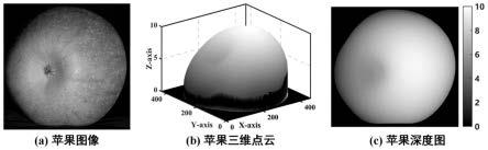 一种基于三维点云的苹果果梗和花萼检测方法