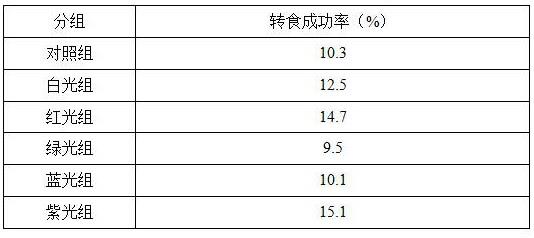 一种提高大口黑鲈水花工厂化转食成功率的方法