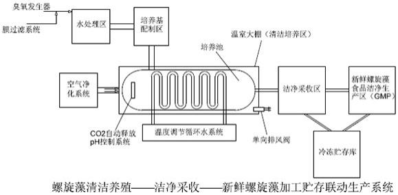 一种可直接用于制备新鲜食品的螺旋藻的生产方法与流程