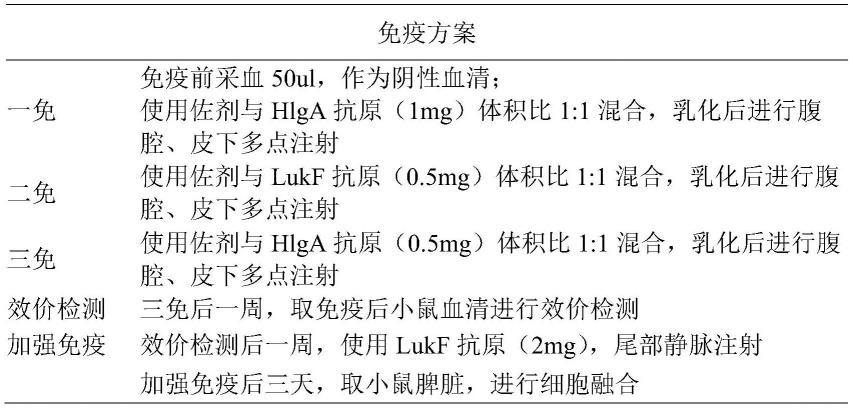 交叉中和金黄色葡萄球菌毒素的抗原结合蛋白及其用途的制作方法