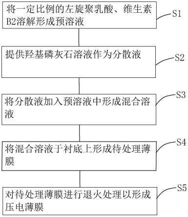 一种左旋聚乳酸压电薄膜及其制备方法