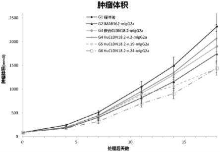 人源化抗Claudin18.2（CLDN18.2）抗体的制作方法