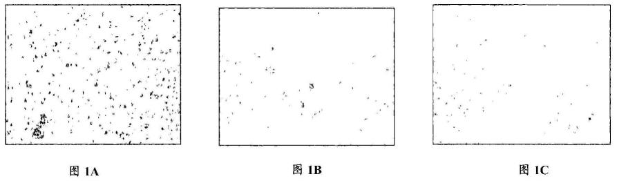 生物活性涂层的制作方法