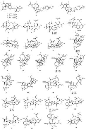 南牡蒿素及其药物组合物和其制备方法与应用