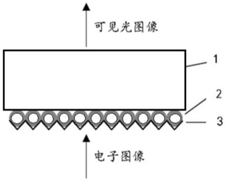 一种用于微光像增强器的亚光荧光屏及其制备方法与流程