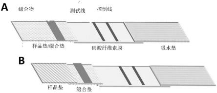 免疫球蛋白E用逆向侧流免疫分析的制作方法