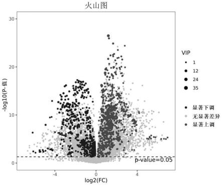 代谢标志物在口腔癌诊断试剂盒制备中的应用