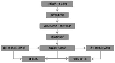 一种用于海洋水环境生态系统中生物有机分子原卟啉