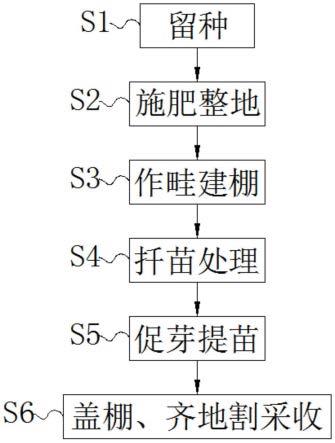 一种基于湖蒿绿色食品机械化的栽培方法与流程