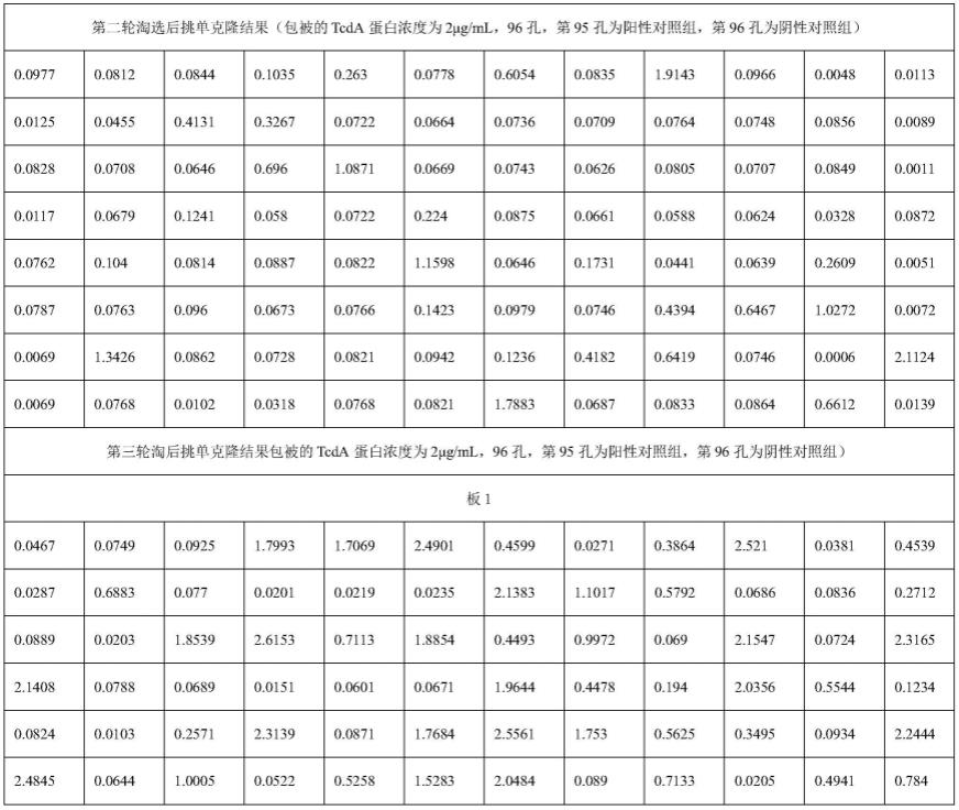 一种抗糖基转移酶A亚单位的纳米抗体及其应用