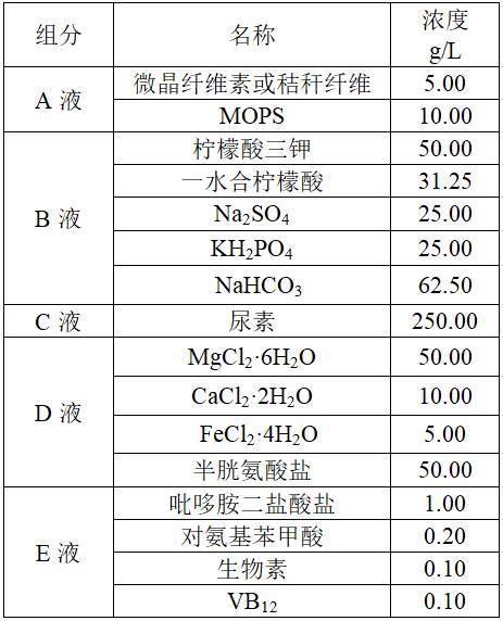 一种可以高效分泌木聚糖酶的工程菌株、构建方法与应用与流程