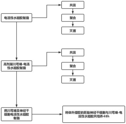 一种治疗脊髓损伤的携载中药单体及神经干细胞的导电性组织工程材料的制备方法与流程