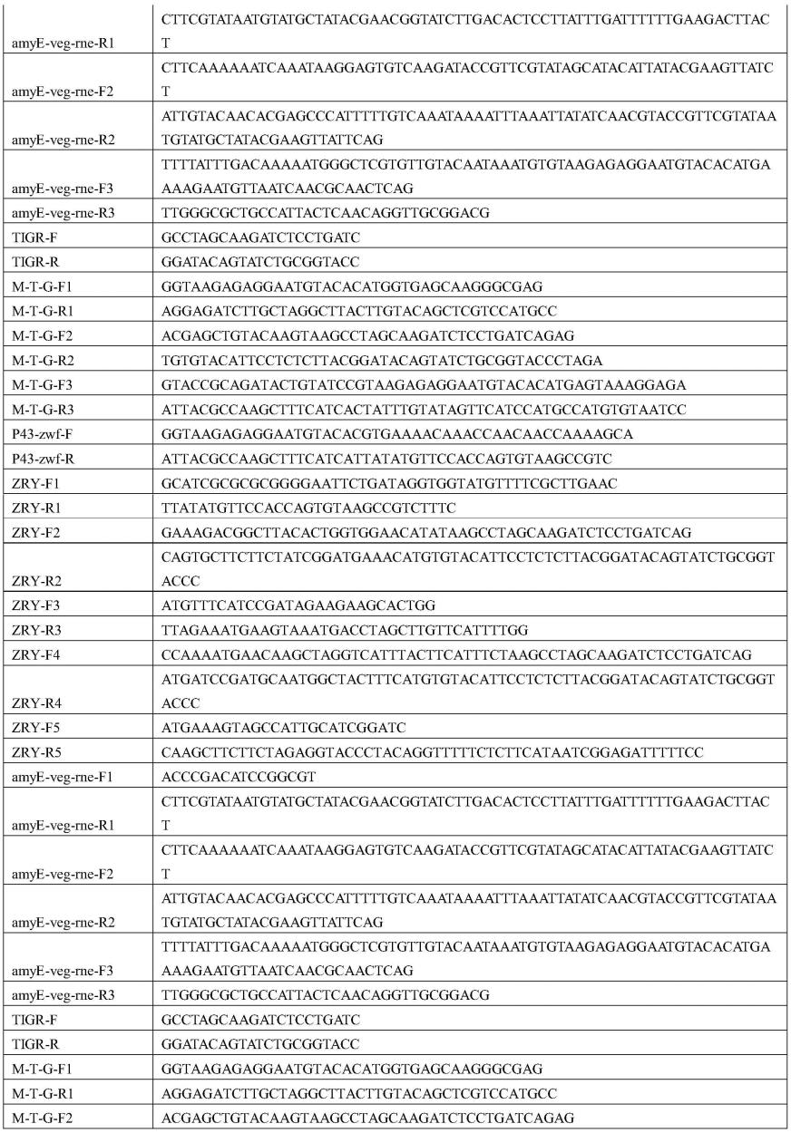 一种基于平衡基因表达高效合成核黄素的方法