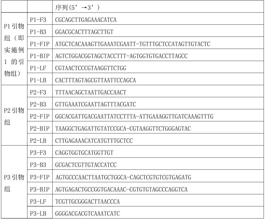 用于鉴定戊糖片球菌的专用引物与试剂盒的制作方法