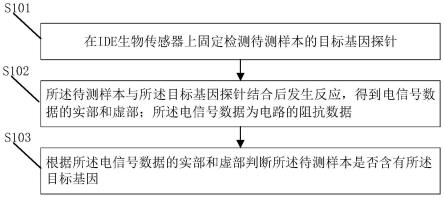 一种目标基因检测方法、装置及计算机与流程_2