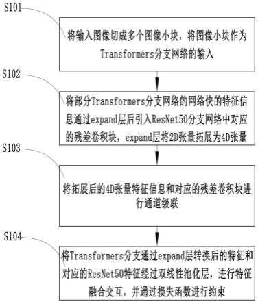 联合全局和局部信息的层次监督行人再识别方法及系统与流程