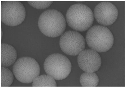 多孔钛硅分子筛、改性钛硅分子筛、改性分子筛及其制备方法和应用与流程