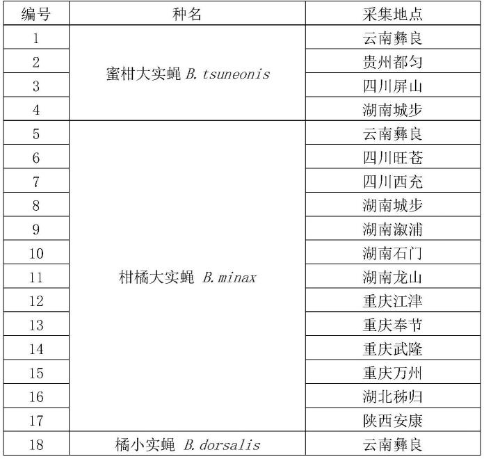 用于鉴定柑橘大实蝇的LAMP引物组及其应用