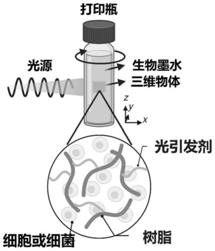 一种体积三维生物打印装置及打印方法