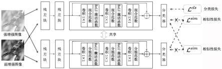 基于混合批归一化的长尾学习图像分类、训练方法及装置与流程