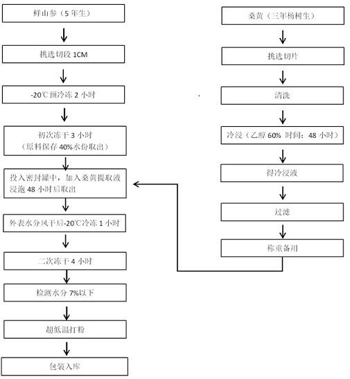 一种山参活性冻干粉及其制备方法与应用与流程