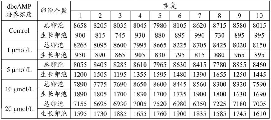 捐赠卵泡体外受精：了解潜在的财务负担 (捐赠卵泡有钱吗)