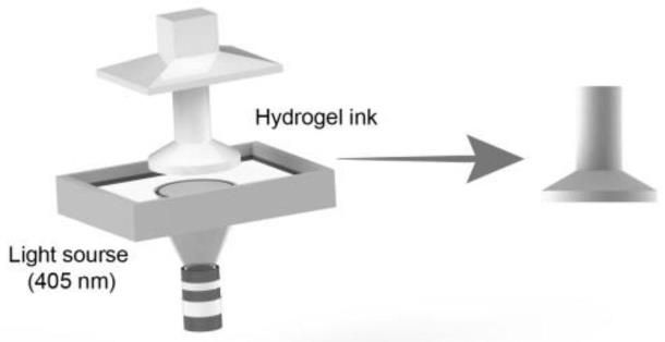 一种3D打印水凝胶的应用、仿生粘附器件