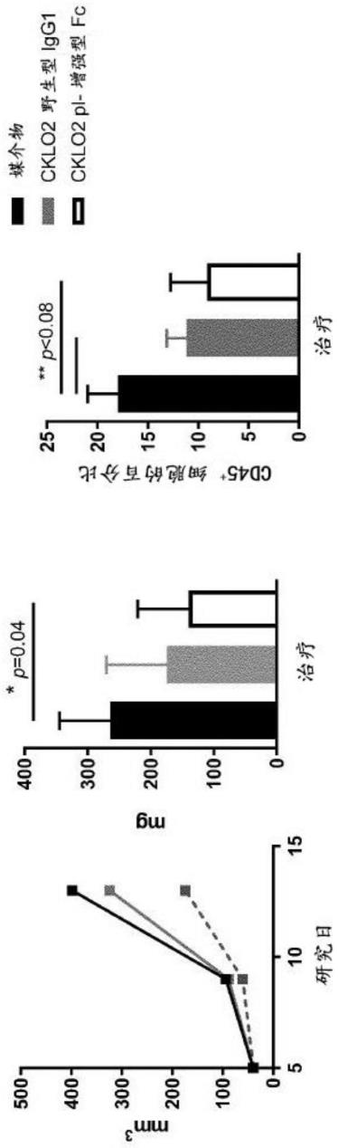 双特异性抗CCL2抗体的制作方法