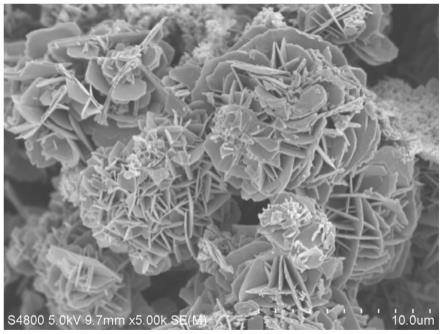 一种纳米片状含钒掺杂钴协同的硒化铜自支撑电极材料及其制备方法