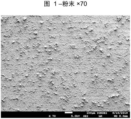 用于锂离子电池的具有聚合物粘合剂的涂层电极的制作方法