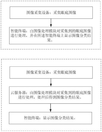 一种多标签眼底图像分类系统、方法及电子设备