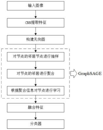 基于CNN和GraphSAGE的苜蓿田杂草识别方法