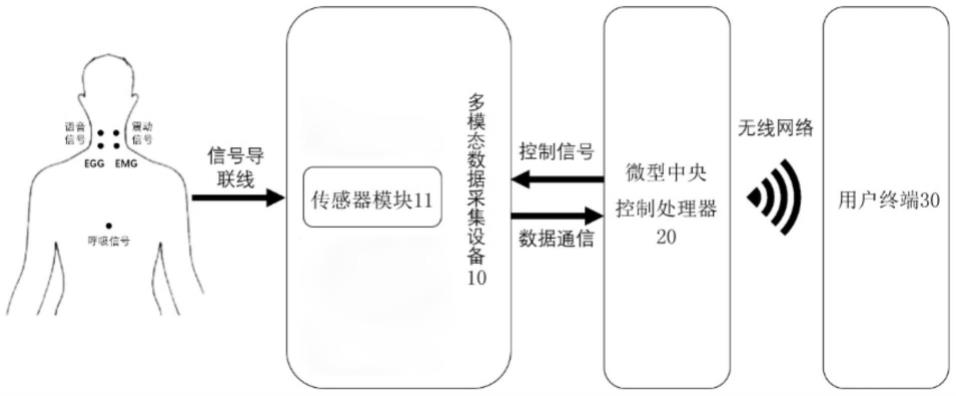 基于多模态数据采集的喉功能分析系统