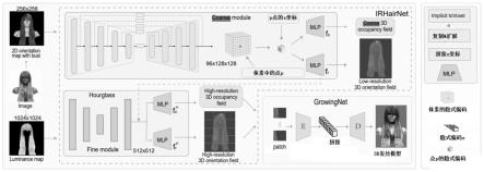 一种基于隐式表达的3D单目头发建模方法及装置