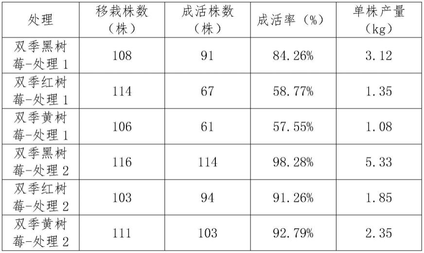 一种石漠化山地栽培双季黑树莓的方法与流程